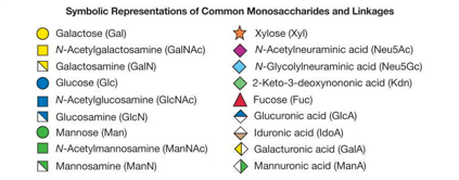 glyco-symbols